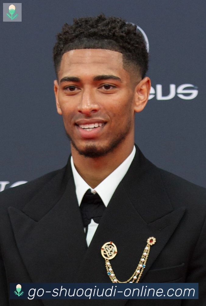 维尼修斯